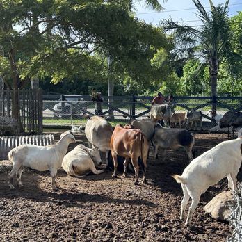 Robert Is Here - Fruits & Veggies Near Me - Homestead, Florida