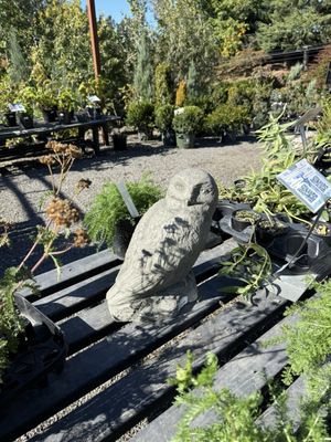 Cornell Farm Cafe by null