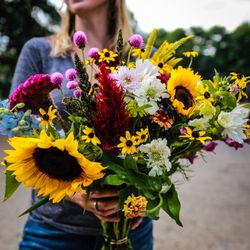 Sunny Meadows Flower Farm