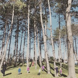 The Treehouse School of Portsmouth