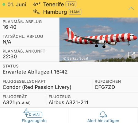 Tenerife South Airport by null