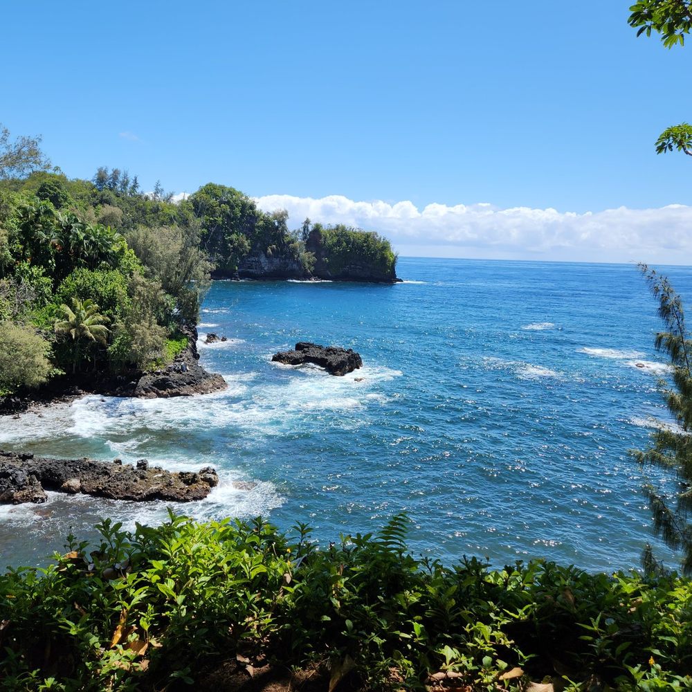 Onomea Bay - Local Flavor Near Me Onomea Bay - Local Flavor Near Me