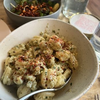 Somebody People - Zucca - Wine Bars Near Me - Denver, Colorado