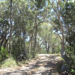 Ku-ring-gai Chase National Park - Trail