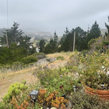 Shelldance Orchid Gardens - Nurseries & Gardening Near Me - Pacifica, California