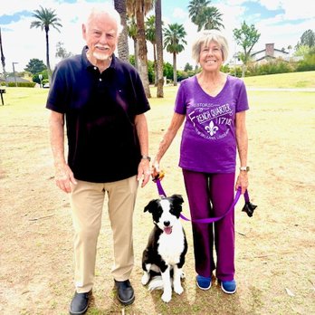 Rob's Dogs - Pet Training Near Me - Phoenix, Arizona