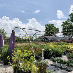 Showplace Landscaping, Inc.