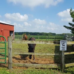 Marcia's Bed and Breakfast