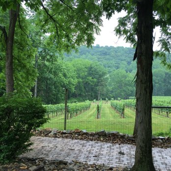 Maple Springs Vineyard - Old Dutch Vineyard at Maple Springs features Old World and Dijon Clone Chardonnay. - Wine Tasting Room Near Me - Bechtelsville, Pennsylvania Maple Springs Vineyard - Old Dutch Vineyard at Maple Springs features Old World and Dijon Clone Chardonnay. - Wine Tasting Room Near Me - Bechtelsville, Pennsylvania