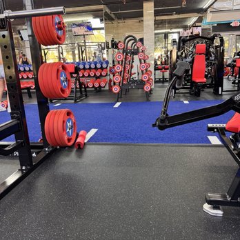 All Star Gym - Gym equipment - Gyms Near Me - Pompano Beach, Florida