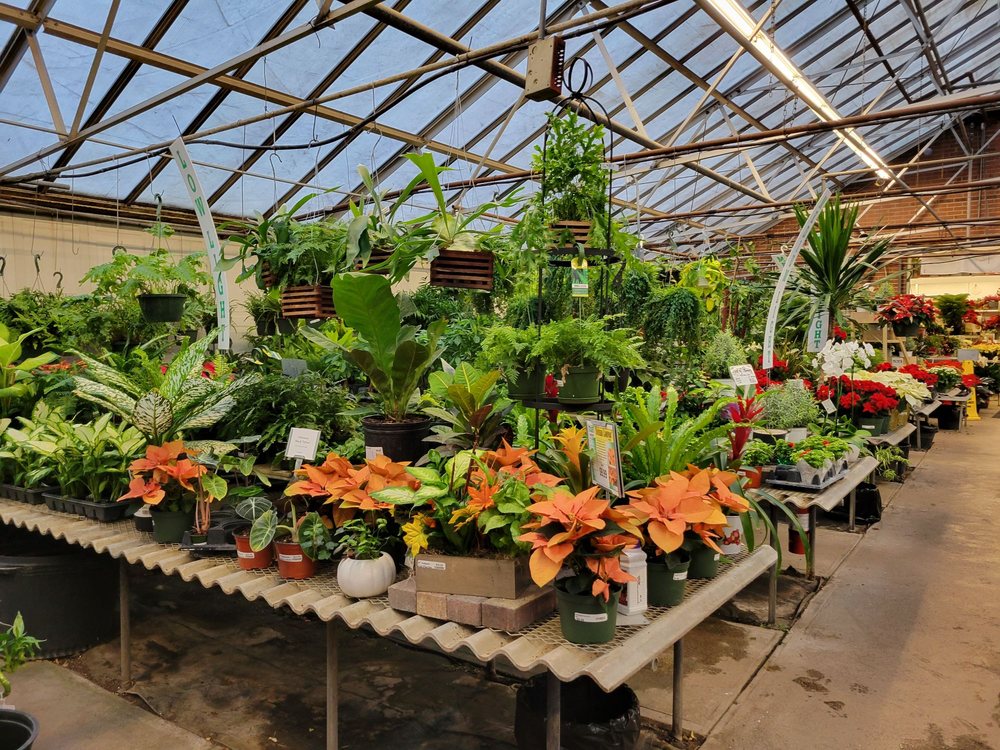 STRADER’S GARDEN CENTER - Updated May 2026 - 32 Photos & 44 Reviews ...