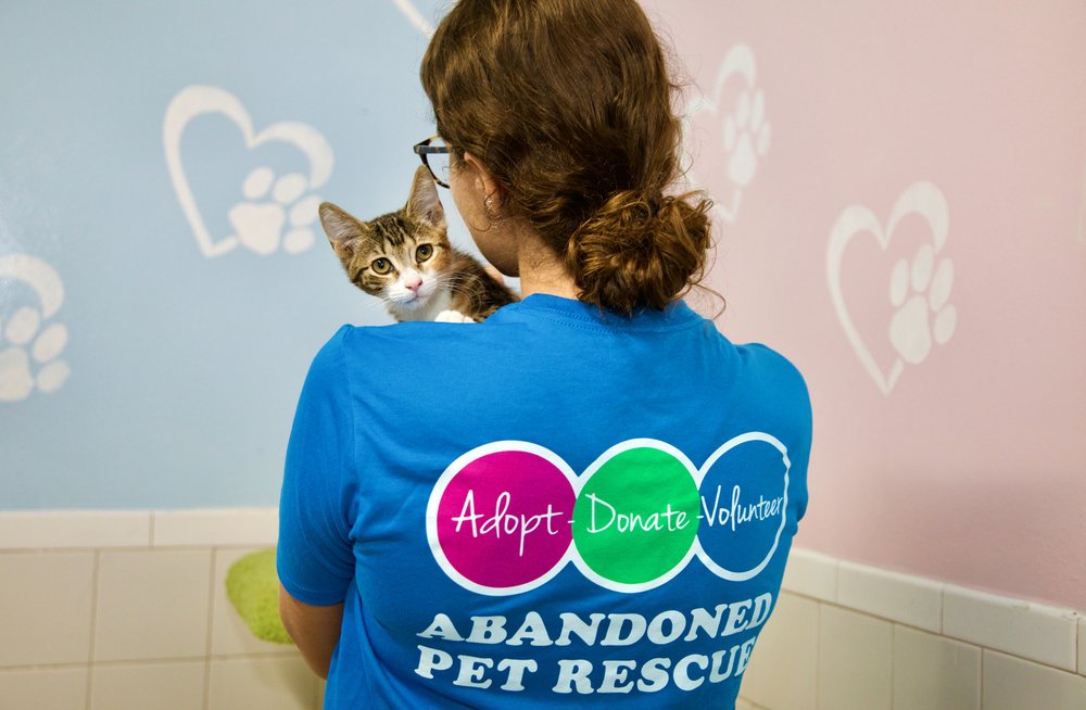 Abandoned Pet Rescue Image