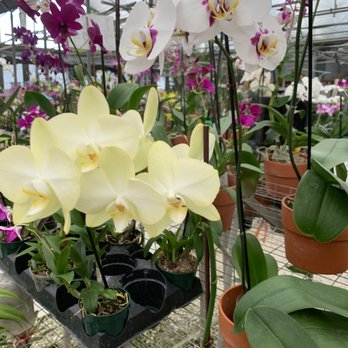 A Heavenly Garden - Nurseries & Gardening Near Me - Miami, Florida