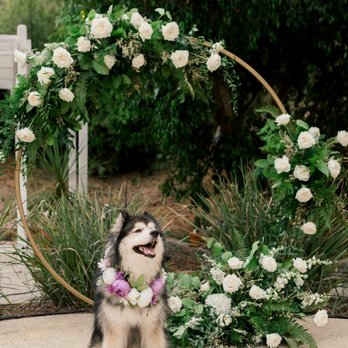 NPD Events - Our baby posing in front of the most beautiful infinity arch. - Wedding Planning Near Me - Tustin, California NPD Events - Our baby posing in front of the most beautiful infinity arch. - Wedding Planning Near Me - Tustin, California