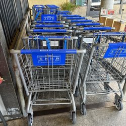 Nijiya Market - Shopping carts