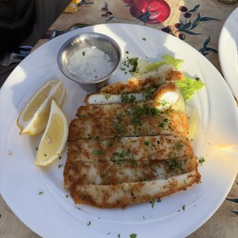 Tree House Cafe - Calamari - Mediterranean Near Me - Carmel, California Tree House Cafe - Calamari - Mediterranean Near Me - Carmel, California