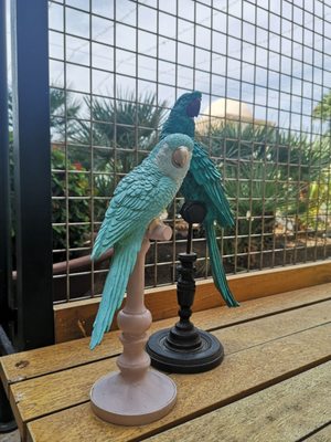 Hotel Vincci Selección La Plantación del Sur by null