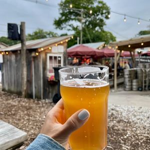 THE WORKSHOP BREWING COMPANY - Updated June 2024 - 213 Photos & 195