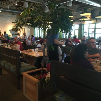 Flower Child - Dining Room - Salad Near Me - Phoenix, Arizona