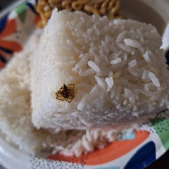 China Inn - Lovely dead spider from the bottom of the white rice carton ! Hopefully he was dead before they put the hot rice in on him ! - Chinese Near Me - Craigsville, West Virginia China Inn - Lovely dead spider from the bottom of the white rice carton ! Hopefully he was dead before they put the hot rice in on him ! - Chinese Near Me - Craigsville, West Virginia