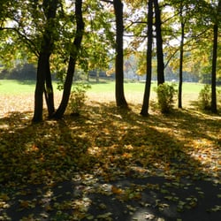 Sport Hotel Chemnitz - Durch den Stadtpark zum Sportcenter