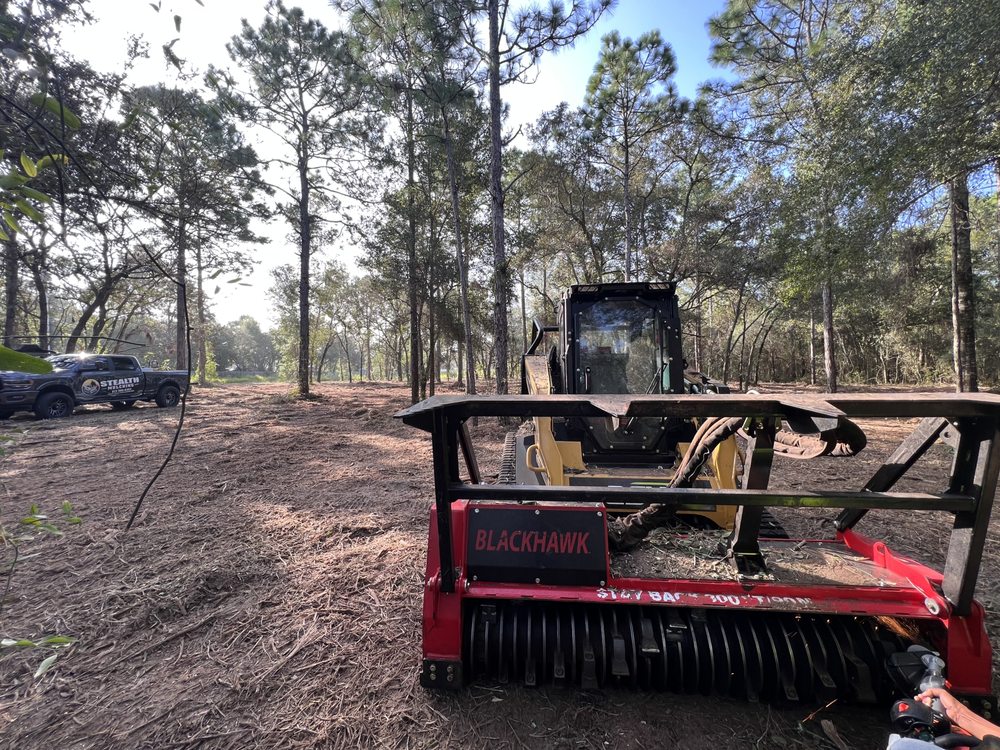 STEALTH MULCHING Updated May 2024 27 Photos 12130 Rix Ln, Dade City, Florida Tree