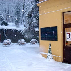 Podnebí