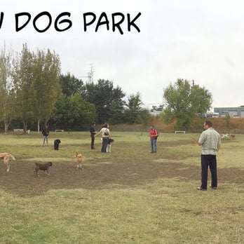Toad Hollow Dog Park - Spacious. That's a huuuuuuuge b*tch! ('And the park was big too!) - Dog Parks Near Me - Davis, California