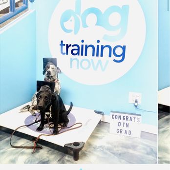 Dog Training Now - Pet Training Near Me - Hoffman Estates, Illinois