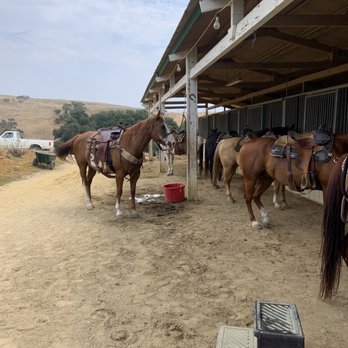 Vino Vaqueros Horseback Riding - Horseback Riding Near Me - Los Olivos, California Vino Vaqueros Horseback Riding - Horseback Riding Near Me - Los Olivos, California