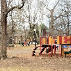 Donner Center and Park - Playground