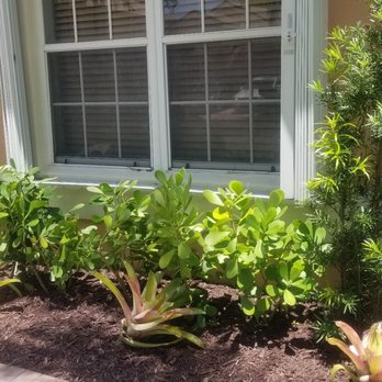 Petri Pest Control - Pest Control Near Me - Pompano Beach, Florida