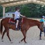 Photo of The Sunhorse Ranch