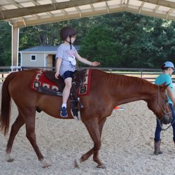 The Sunhorse Ranch - Attachment Riding to promote balance and coordination skills