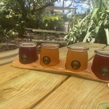 Beech Kombucha - Kombucha Near Me - St. Petersburg, Florida