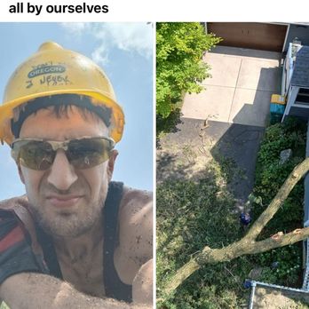 A Cut Above - Tree Services Near Me - Slinger, Wisconsin