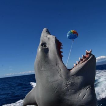 Hawaiian Parasail - Parasailing Near Me - Honolulu, Hawaii