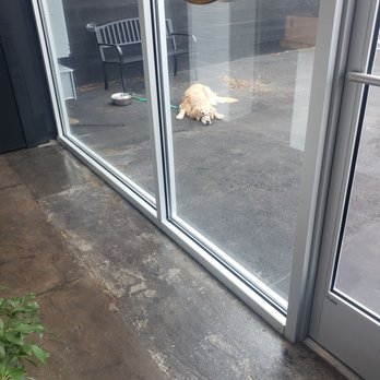 Roastology - Puppy waiting outside - Coffee & Tea Near Me - Richmond, Virginia Roastology - Puppy waiting outside - Coffee & Tea Near Me - Richmond, Virginia