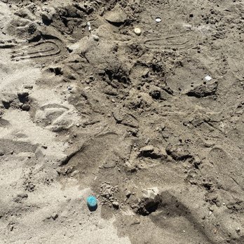 Sand Cove Beach - Bottle caps and butts. - Beaches Near Me - Sacramento, California Sand Cove Beach - Bottle caps and butts. - Beaches Near Me - Sacramento, California
