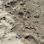 Photo of Sand Cove Beach