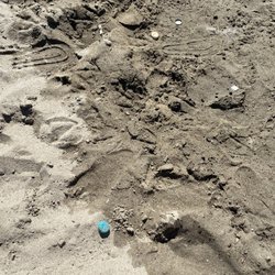 Sand Cove Beach - Bottle caps and butts.