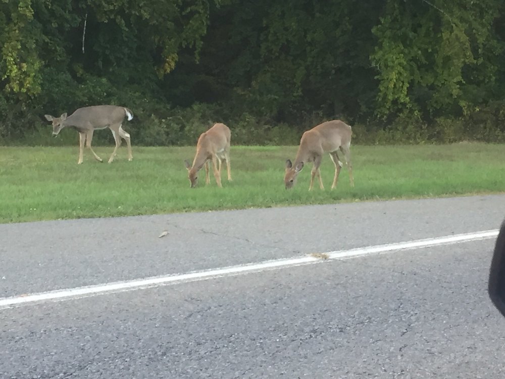 SUNY ULSTER Updated September 2024 491 Cottekill Rd, Stone Ridge