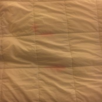 Quality Inn & Suites - Stained bedsheets - Hotels Near Me - Matteson, Illinois