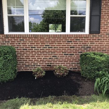 We Recycle Trees - New azalea bushes - Tree Services Near Me We Recycle Trees - New azalea bushes - Tree Services Near Me