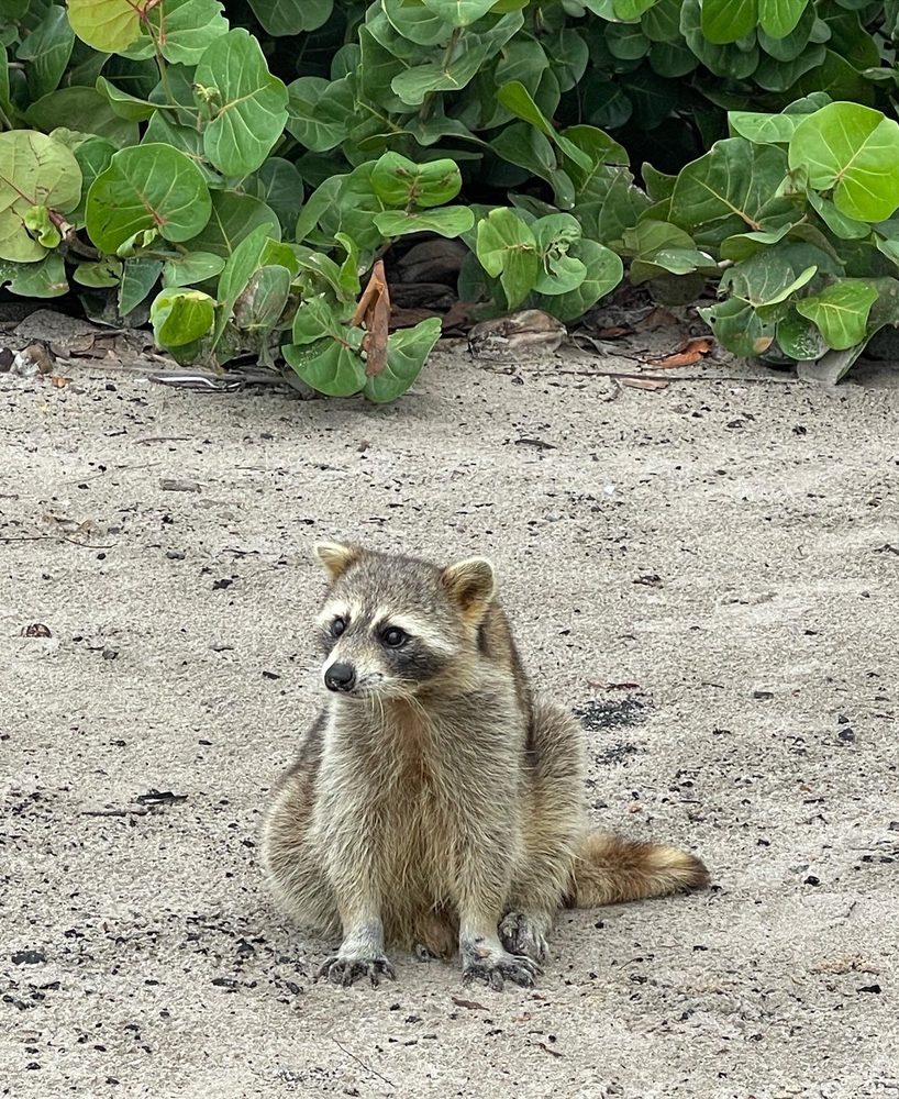 BIG SANDSPUR A/K/A BEER CAN ISLAND 22 Photos 3400 NE 163rd St