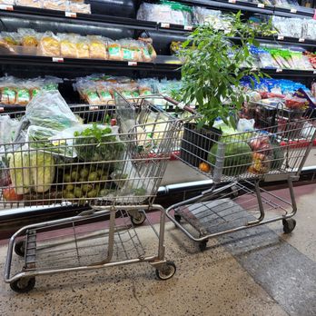Hong Kong Supermarket - a shopping cart filled with groceries - Grocery Near Me - Norcross, Georgia Hong Kong Supermarket - a shopping cart filled with groceries - Grocery Near Me - Norcross, Georgia
