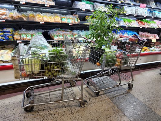 Hong Kong Supermarket by null