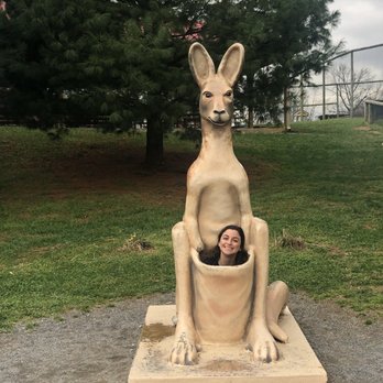 Virginia Safari Park - Park is suitable for Joeys of all ages - Zoos Near Me - Natural Bridge, Virginia Virginia Safari Park - Park is suitable for Joeys of all ages - Zoos Near Me - Natural Bridge, Virginia
