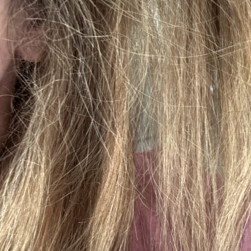 Beauty Bar 26 - Hair damaged right up to the root!!! It was NOT like this before the appointment. I have images before so that's easy to prove. - Hair Salons Near Me - Bradenton, Florida Beauty Bar 26 - Hair damaged right up to the root!!! It was NOT like this before the appointment. I have images before so that's easy to prove. - Hair Salons Near Me - Bradenton, Florida