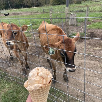 High Lawn Farm - Pumpkin pie ice cream - Specialty Food Near Me - Lee, Massachusetts